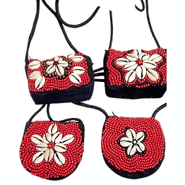 Beads & Shell Purse-BSP06