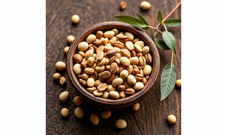 Edible Seeds