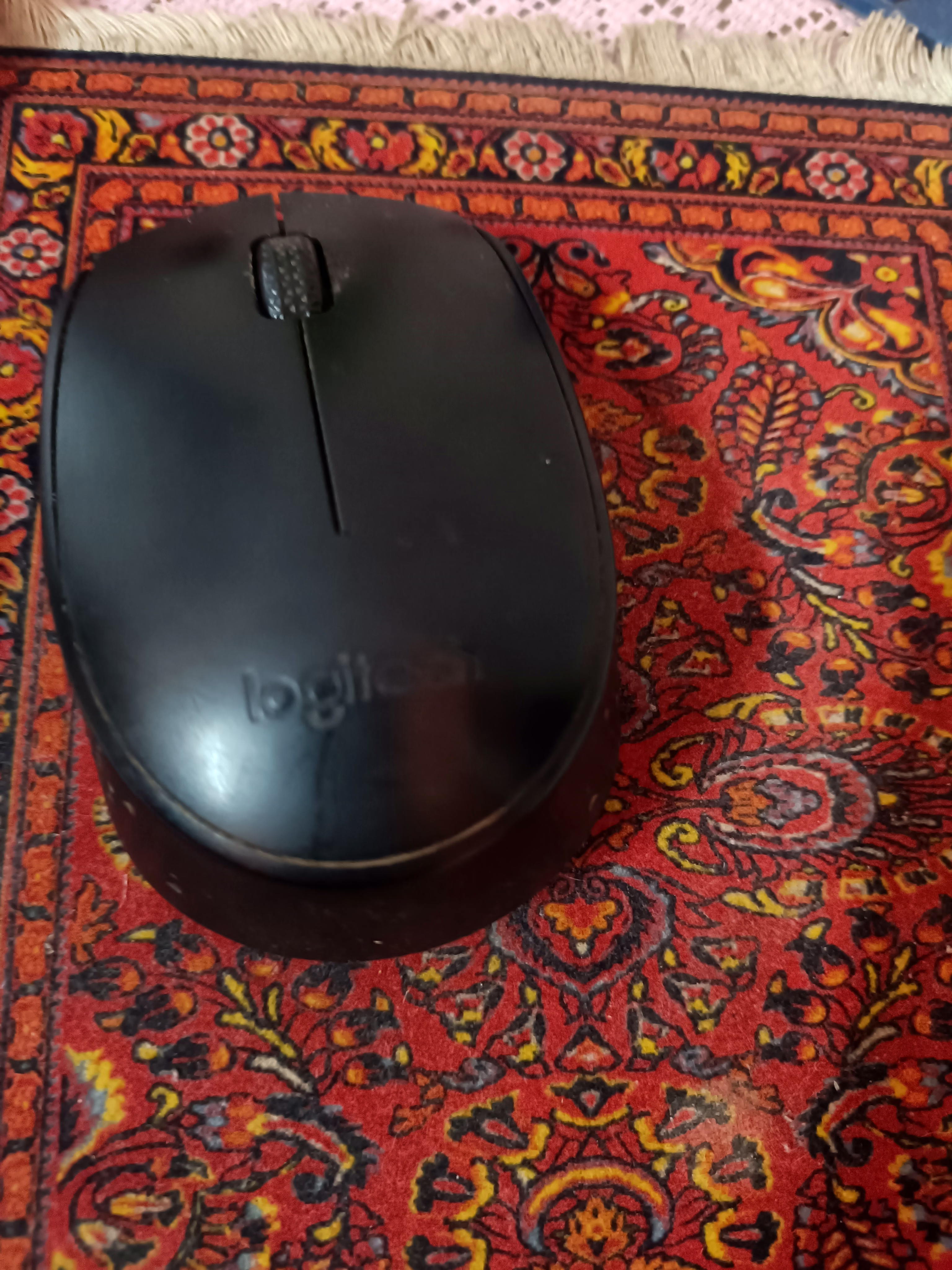 Mouse image 1