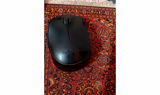 Mouse