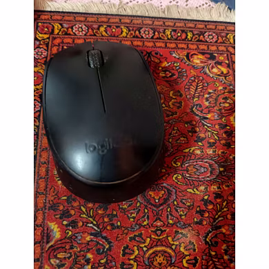 Mouse-1