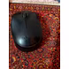 Mouse-1-sm