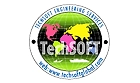 Techsoft Engineering Services