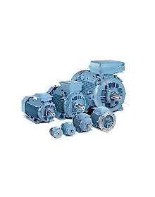 Induction Motors