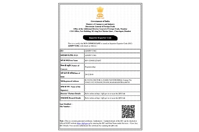 MARS CONSULTANT PROFESSIONAL LICENSE BUREAU