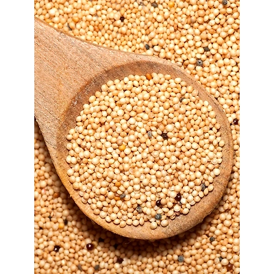 Turmeric-Mars1001
