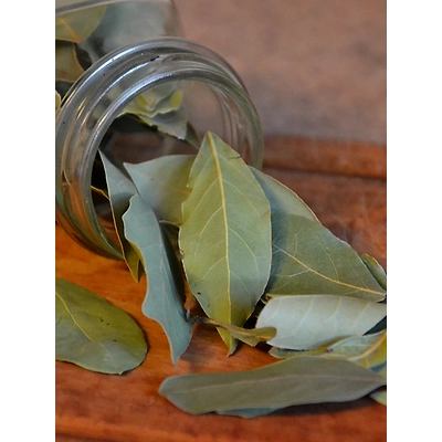 Bay Leaf-Mars1003