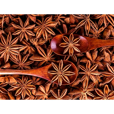 Anise-Mars1014