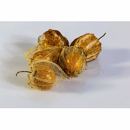 mars export dry gooseberry