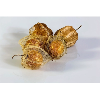 Dry Gooseberry-Mars1020