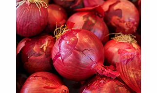 Red Onion