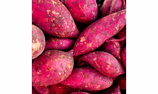 Sweet Potato
