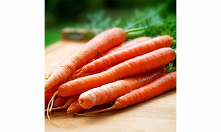Carrot