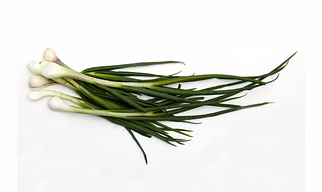 Green Onion