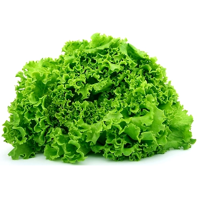 Lettuce-Mars1041