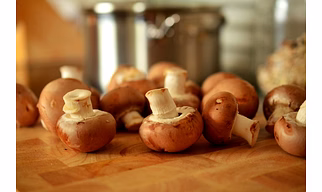 Mushroom