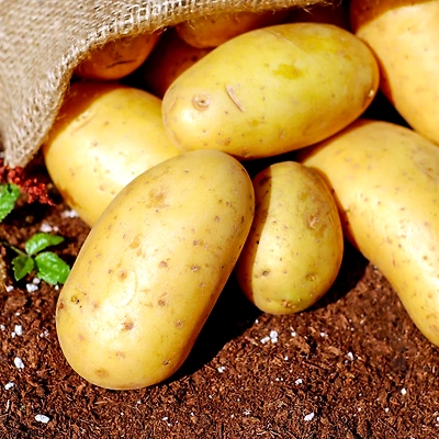 Potato-Mars1047