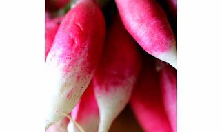 Radish
