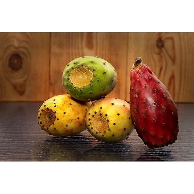Cactus Pear-Mars1054