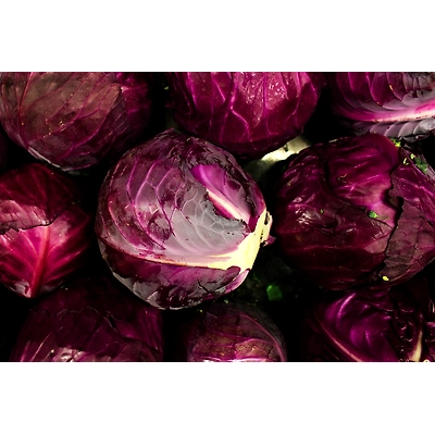 Red Cabbage-Mars1061