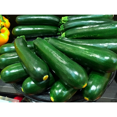 Zucchini-Mars1064