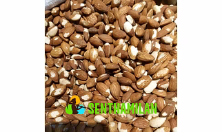 Touch Almond