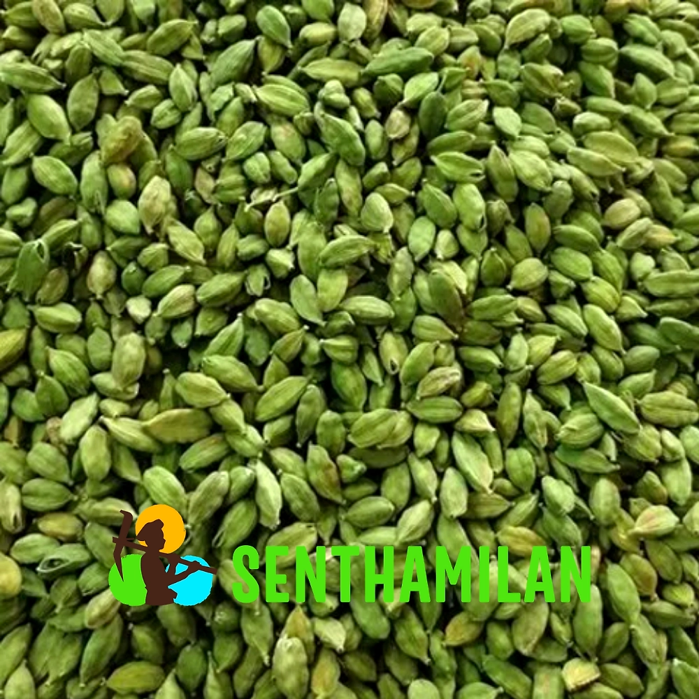 8 mm Green Cardamom-11736930