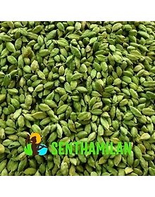 8 mm Green Cardamom