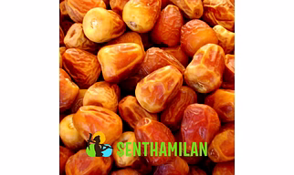 Natural Sukkri Dates