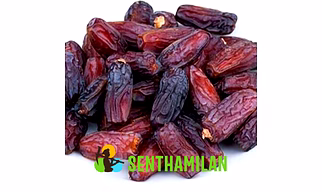 Mabroom Dates