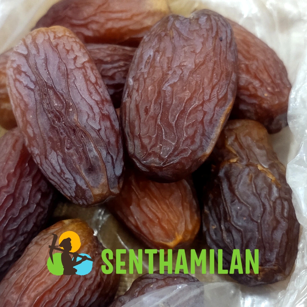 Buy Premium Majdoul Dates - Buy 100% Natural Dried Dates Online at GL