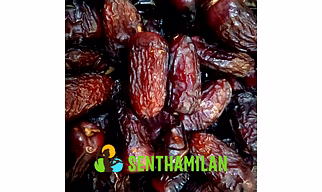 Safawi Premium Dates