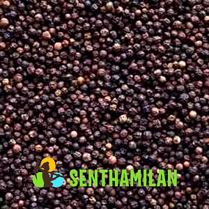 Black Pepper - 11.5mm