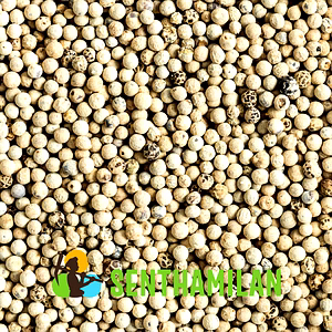 White Pepper