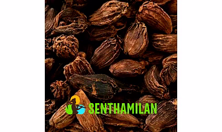 Black Cardamom