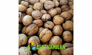 Hard Shell Walnut