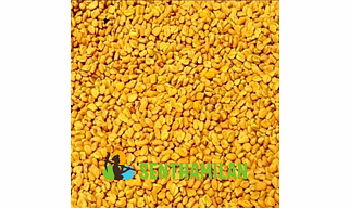 Methi Seeds