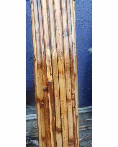 Original Raidon Cane Bamboo Sticks 6feet flexible-11738692