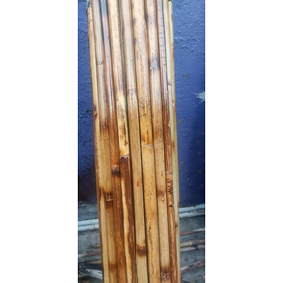 tryme silambam 5 feet cane rattan bamboo, (varnished) pranayama stick – lung opener for fuller breathing - posture corrector and flexibility - yoga
