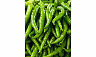 Green Chilli (G4)