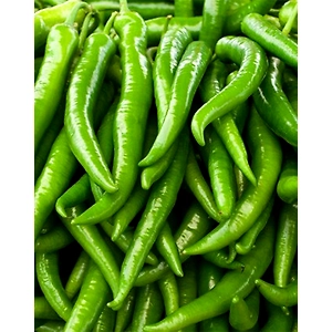 Green Chilli (G4)
