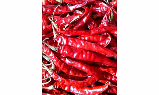 Red Chillis