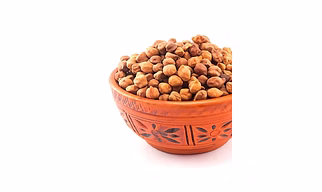 bengal gram kala chana chickpea cicer arietinum