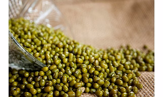 GREEN MOONG