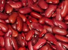 Red Kidney Beans-Sa1023