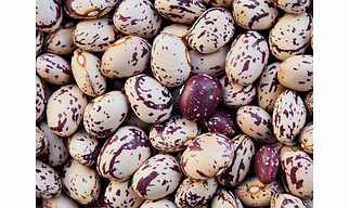 Red Speckled beans
