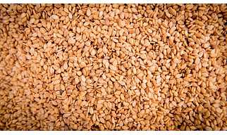 Wollega Type ETH sesame seeds