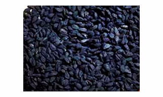 Cumin