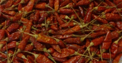 Dry Red Chilies-Sa1031