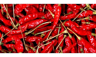 Guntur Chili Powder
